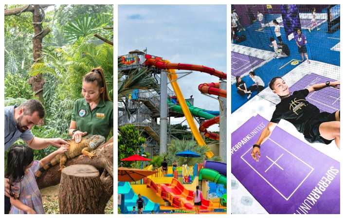 8 Seasonal and Annual Passes in Singapore: Are They Worth Your Money?