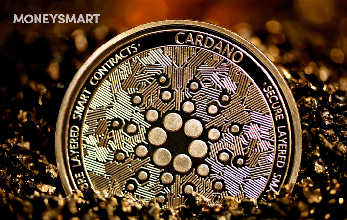 Cardano Price SGD: Should I Still Buy & Stake Cardano? (May 2022 Crypto Crash Update)