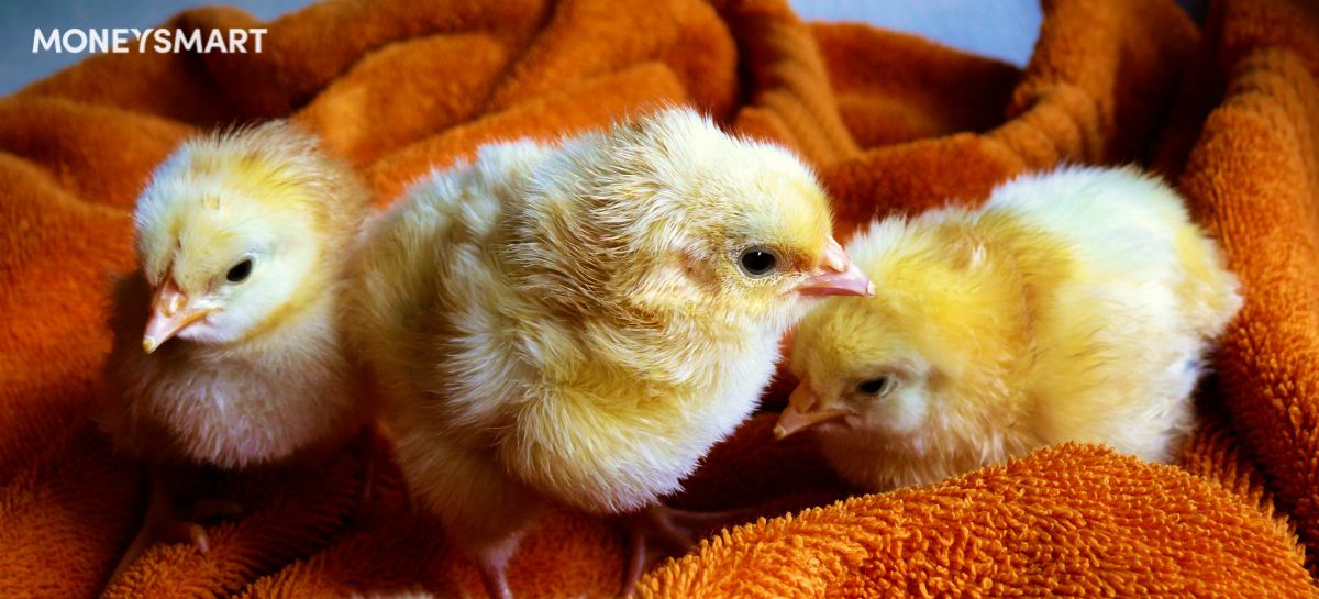 Chicken Pox in Singapore - Vaccination vs Treatment Costs