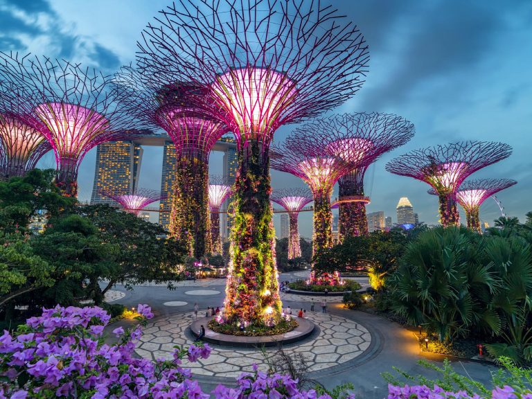 tall tree structures that lights up