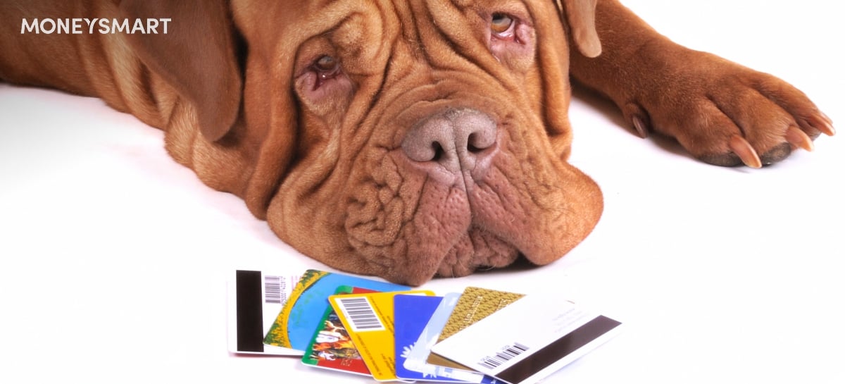 Visa vs Mastercard vs American Express - Which is Best?