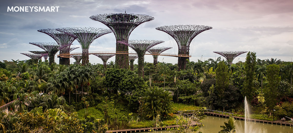 10 Everyday Things Singaporeans Should Do to Save The Environment (& Save Money Too)