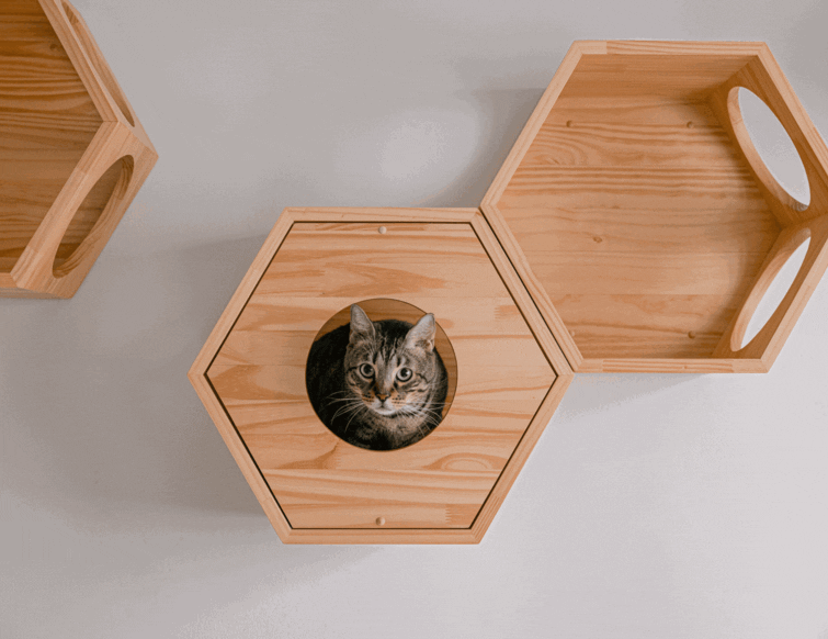 Catification Guide: How Much Does It Cost to Create a Cat-Friendly Home?