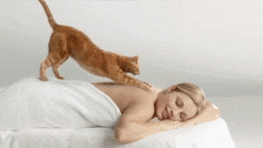 Cheap Massage Places in Singapore (2023)—Clean Ones Under $70!