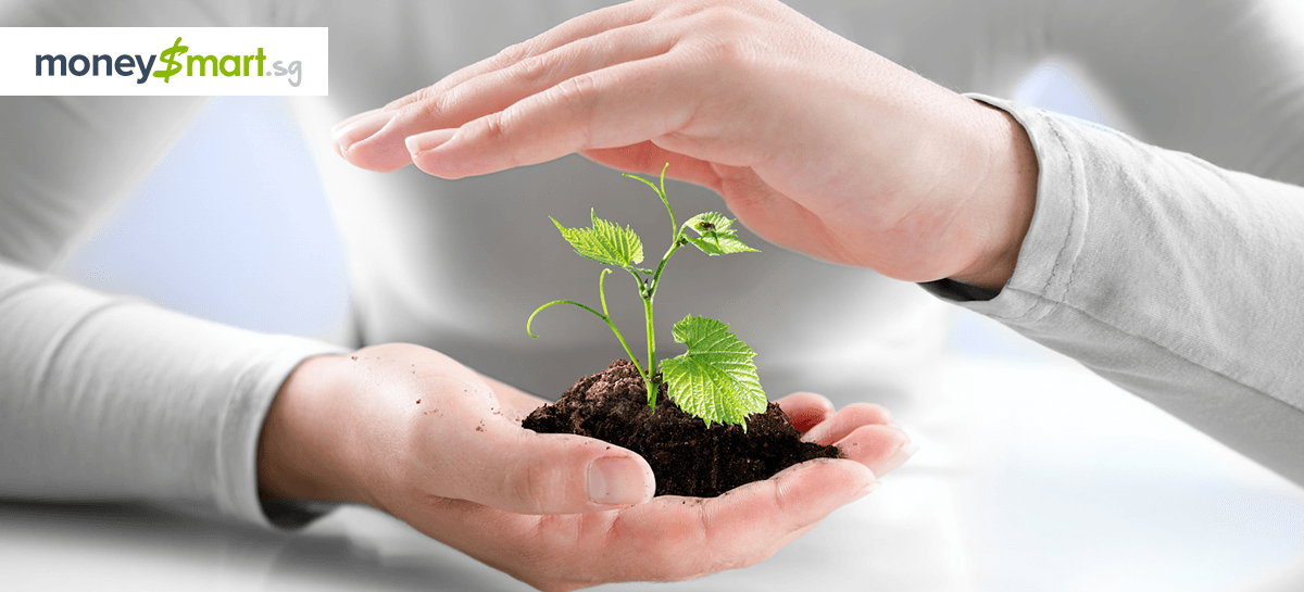 Is Whole Life Insurance Just a Scam? Read This First Then Decide