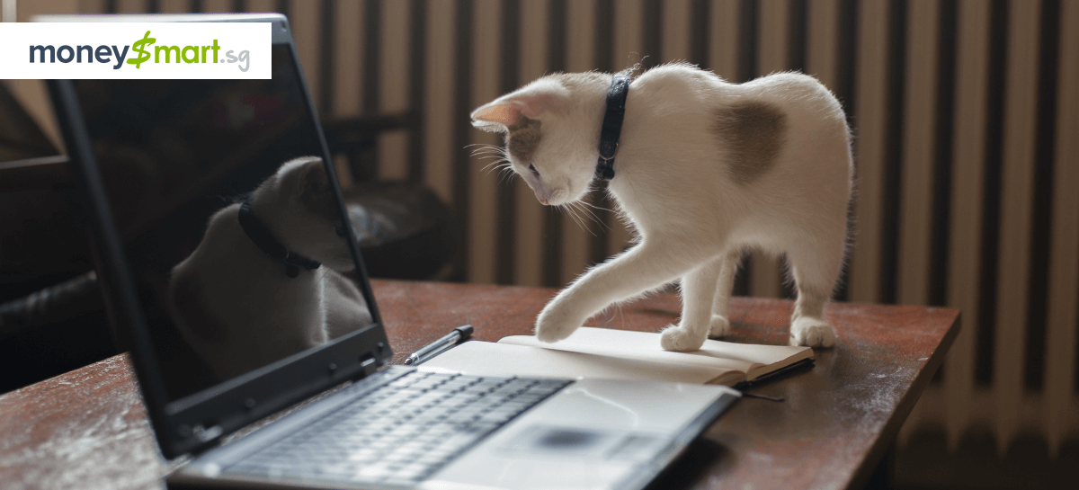 3 Big Reasons More Singaporean Employers Should Let Their Employees Work From Home