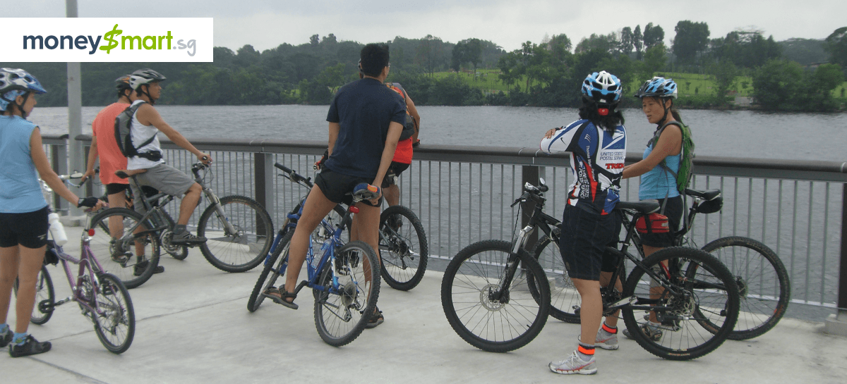 Why is the Government Not Doing Enough to Promote Alternative Means of Transport in Singapore?