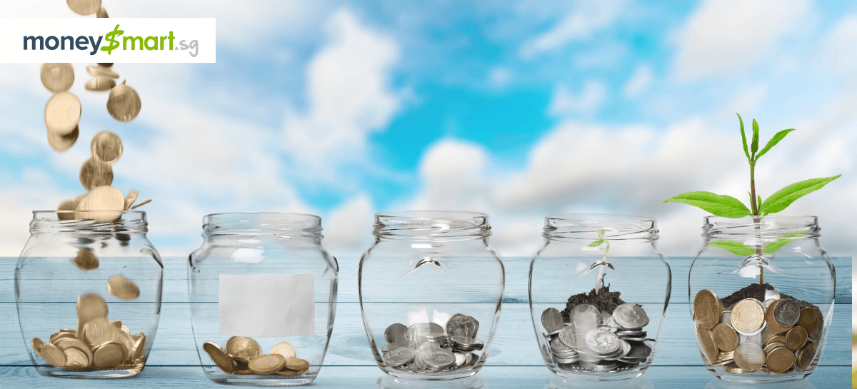 5 Fundamentals to Help You Decide What Stocks to Invest in This New Year