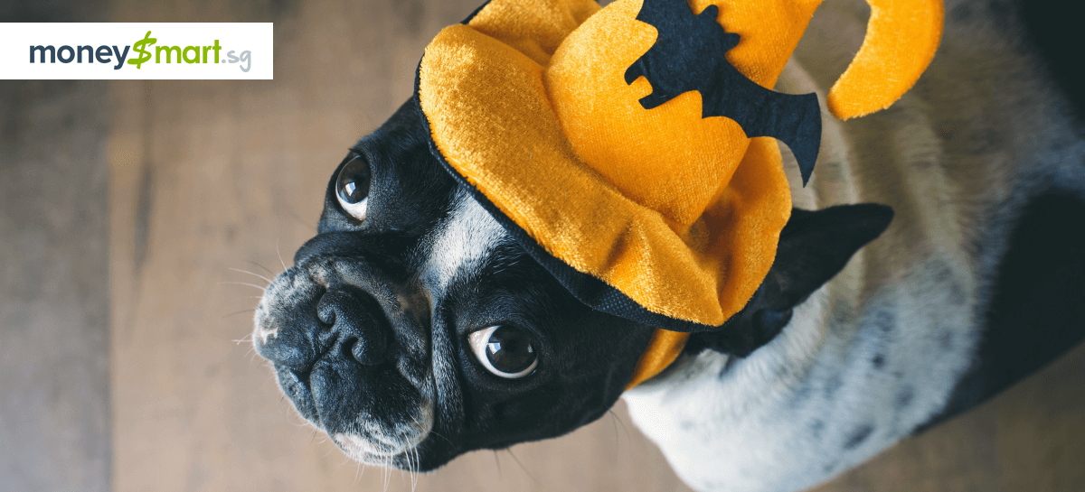 5 Super Cheap Halloween Costumes to Try This Year