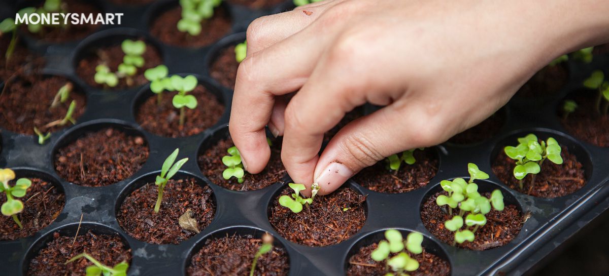 How to Save Money and Be Green At the Same Time: 3 Key Trends in Singapore